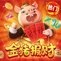 黄金猪
